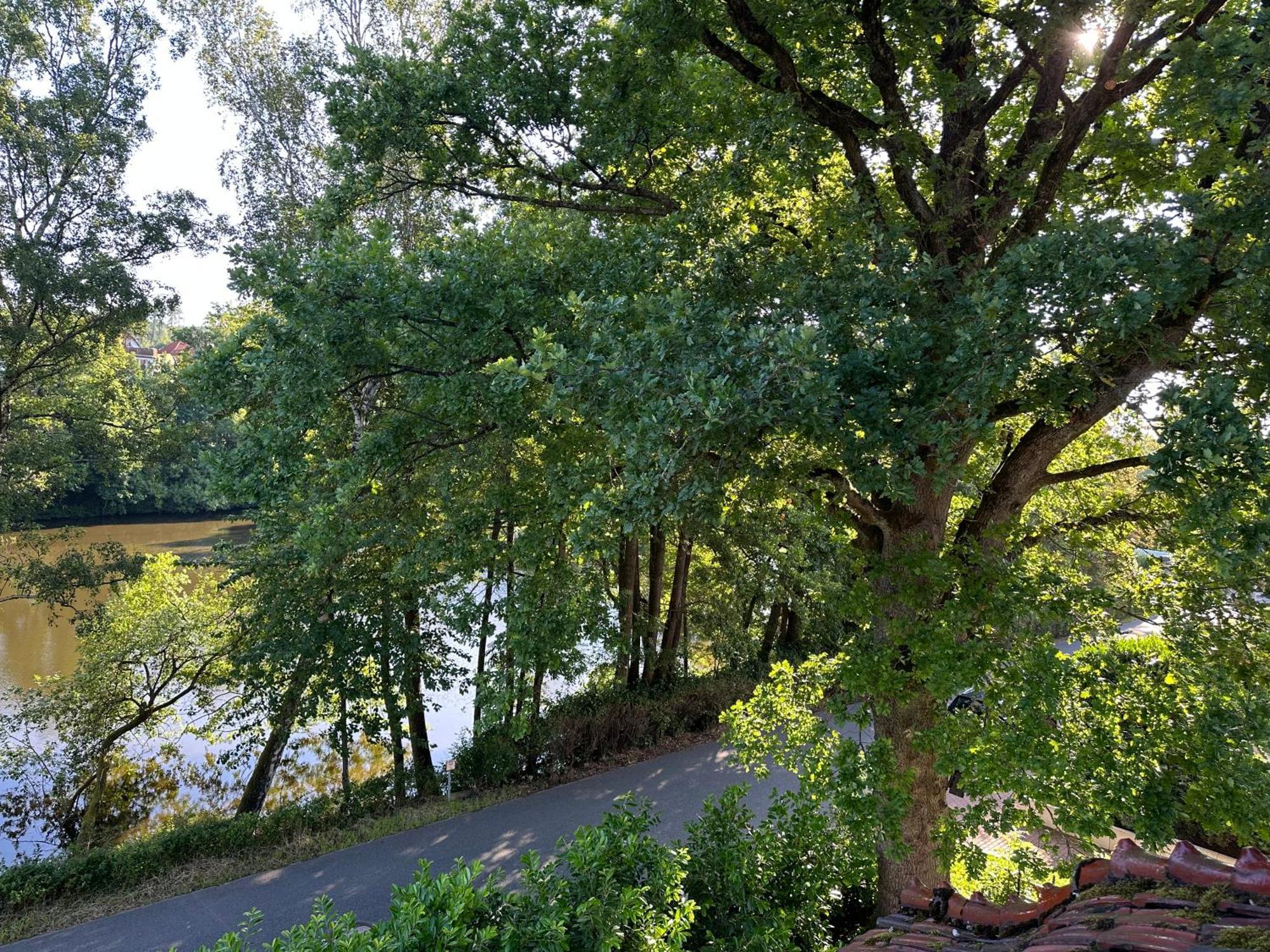 Villa Am See バート・ザクサ エクステリア 写真